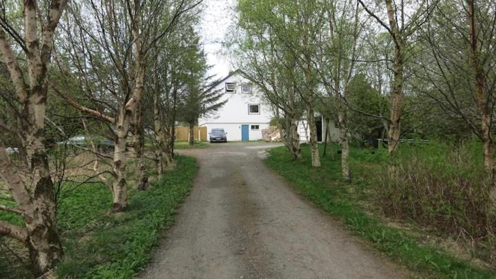 Airbnb And Booking At Postvegen 95 Vigra Exteriér fotografie